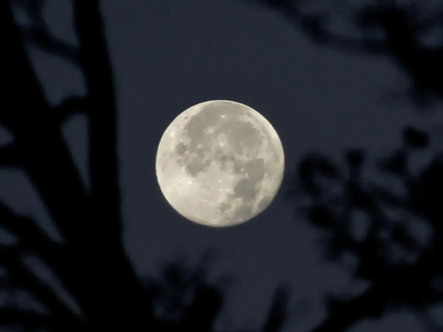Esta es la fecha en la que se podrá ver la la Superluna de noviembre 2025