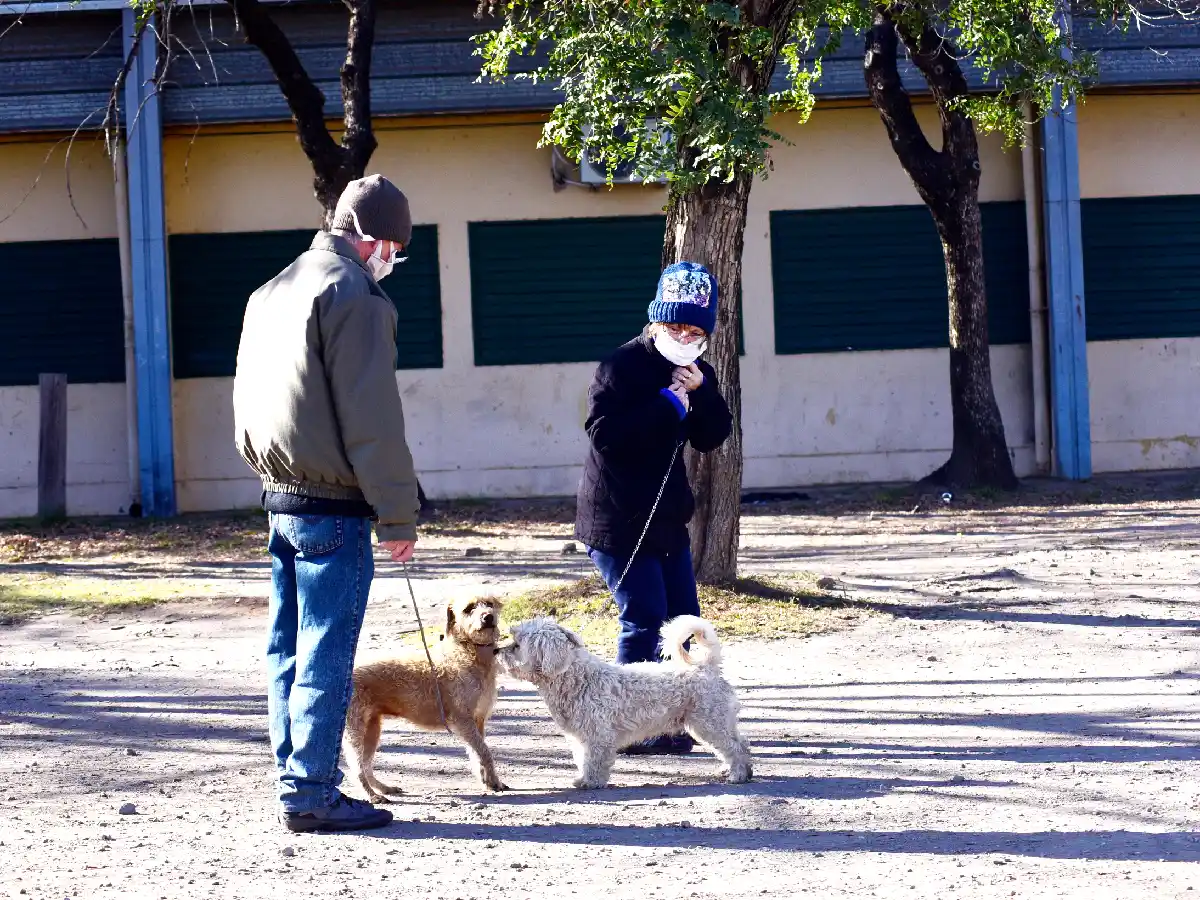 La vecindad, el valor que  resurgió en la pandemia 