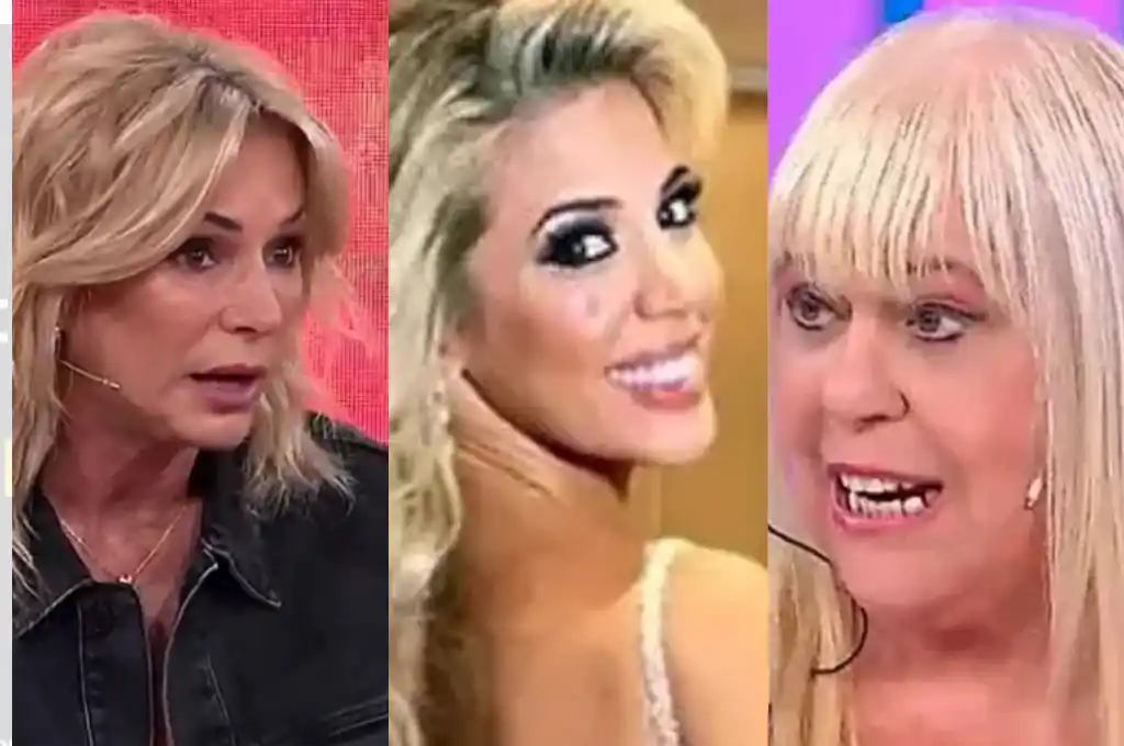 Yanina y Laura Ubfal destrozaron a Gallardo por el proyecto de los premios Martin Fierro