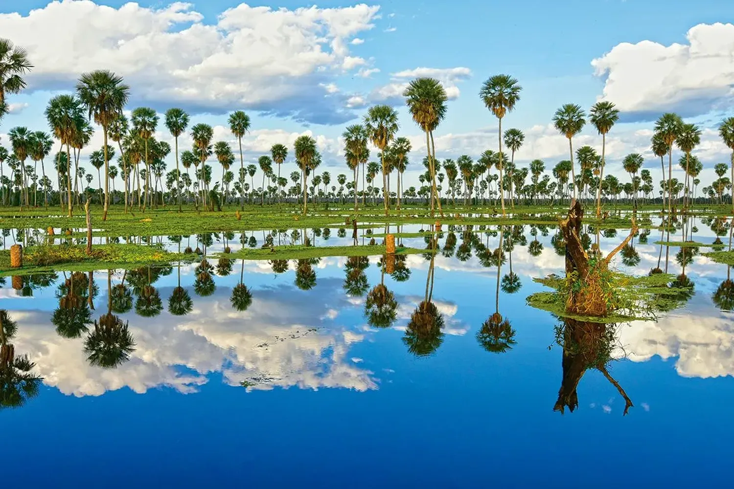 Las 7 Maravillas Naturales Argentinas celebran hoy su Tercer Aniversario y regalan estadías para visitarlas