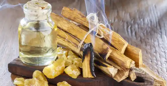Desinfecta el aire de bichos y malas vibras con Palo Santo