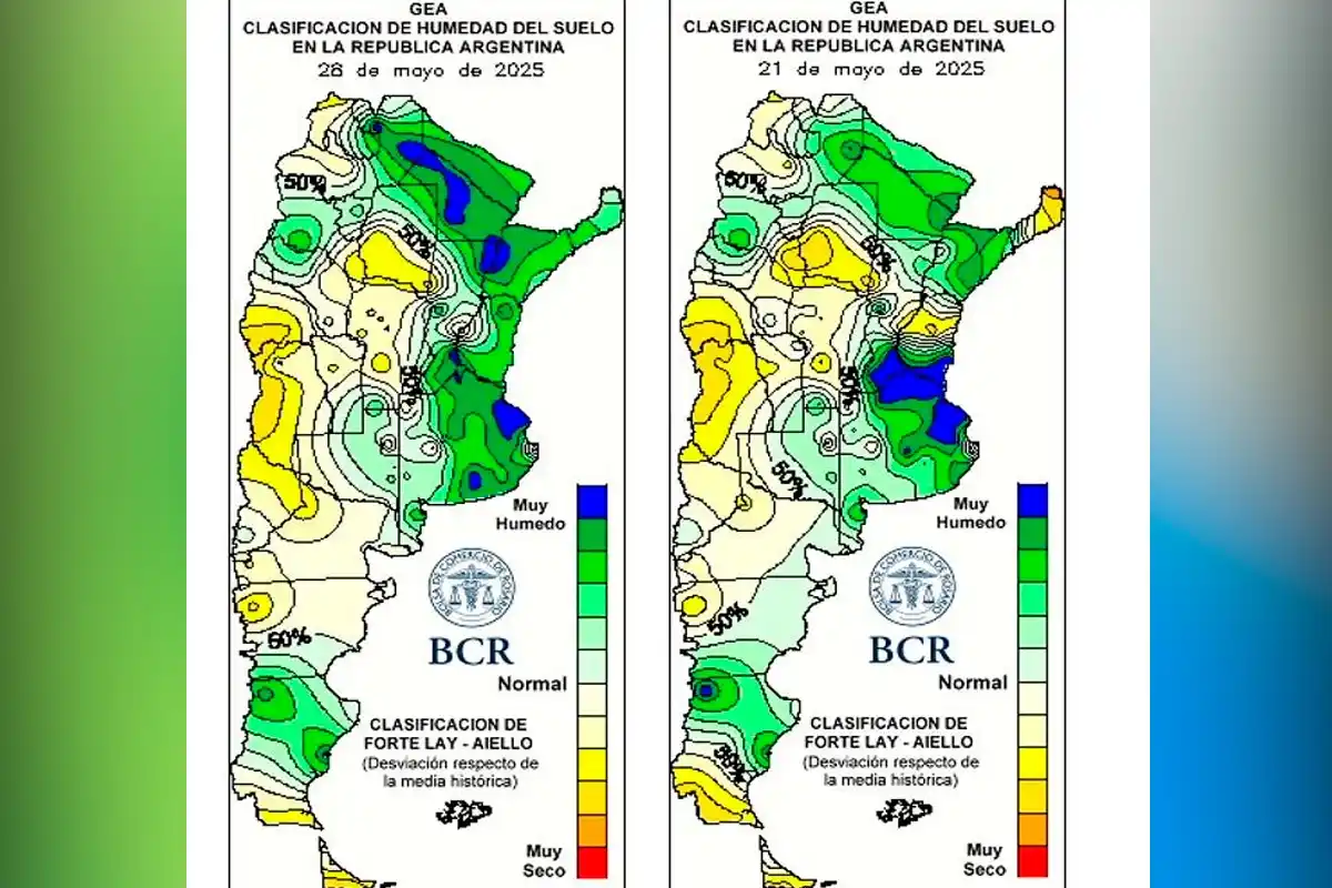 lluvia en el campo - 1