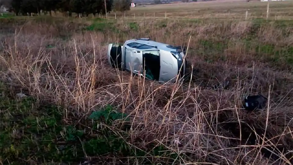 Se le cruzó una liebre en la ruta y terminó volcando