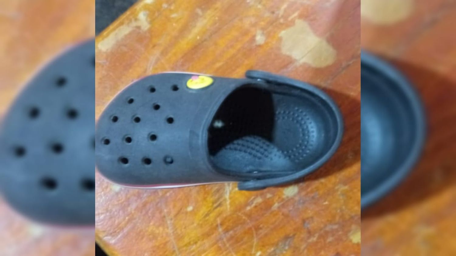 Se encontró un zapato