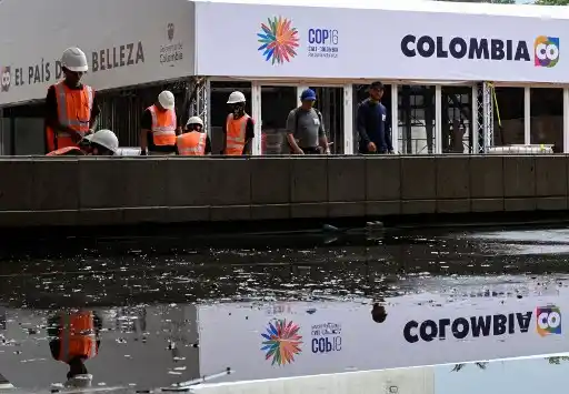 Tensión por enfrentamientos entre Disidentes de las FARC  y el Ejército a pocos días de la COP16