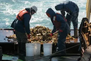 Amplían la zona de veda para la pesca de moluscos en la costa bonaerense