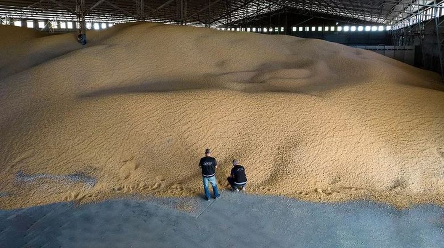 Aduana intimó a reconocidas empresas cerealeras por maniobras fraudulentas