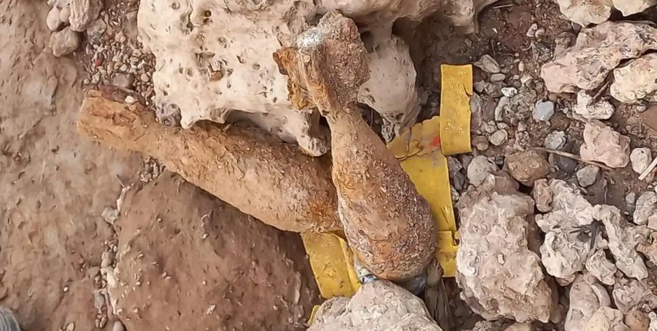 El hallazgo se produjo este viernes, en horas de la siesta, en las orillas del río Paraná.