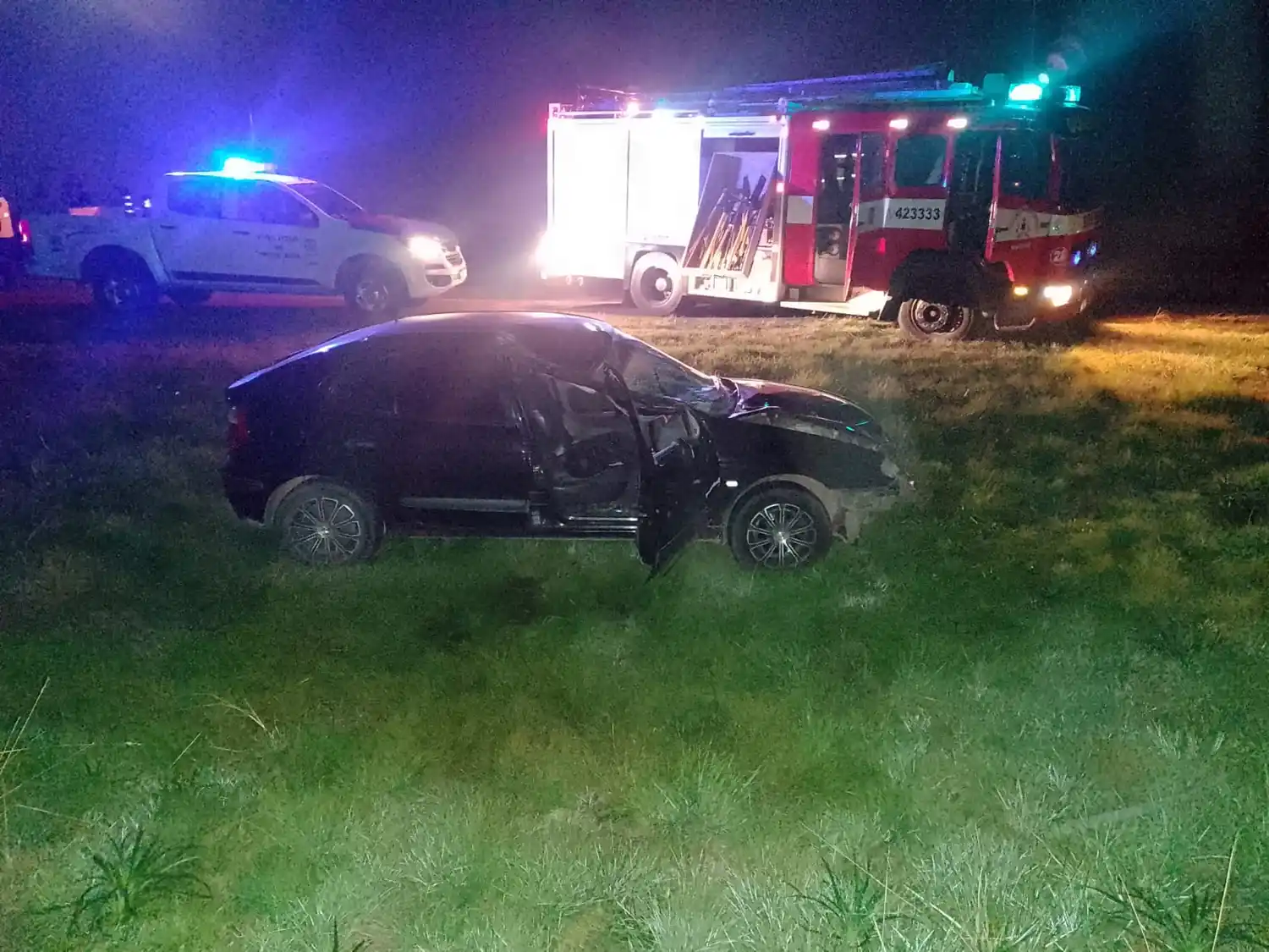 Chocaron contra un caballo en plena ruta y una mujer quedó internada en Terapia Intensiva