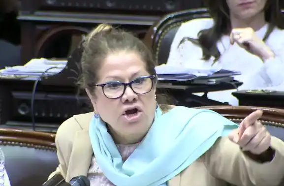 Graciela Camaño: "No podemos seguir cobrando tanto mientras no hacemos un carajo"