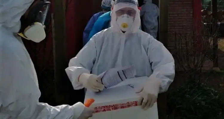 Coronavirus: expectativa por los resultados que llegarán desde el Instituto Maiztegui