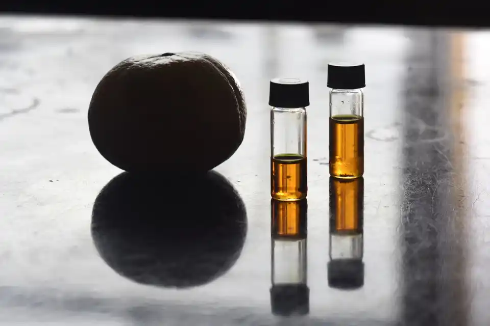 Científicos de la UNLP señalan a la mandarina como una aliada contra el colesterol