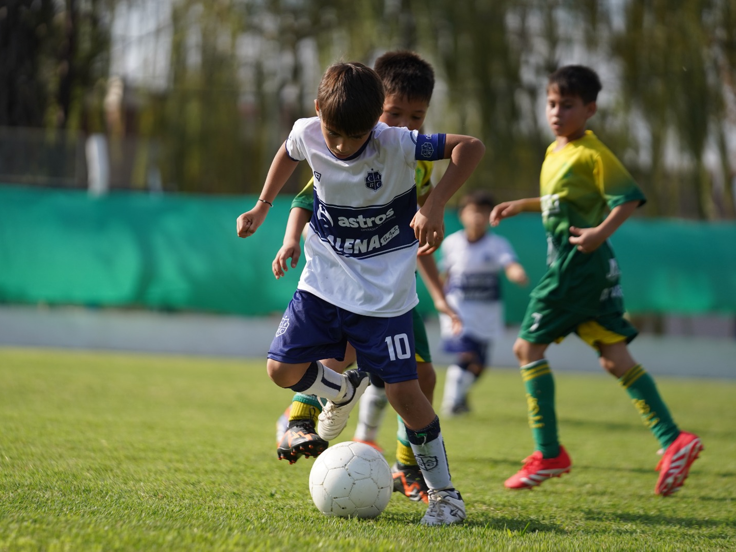 Pasó la fecha 16 del Apertura