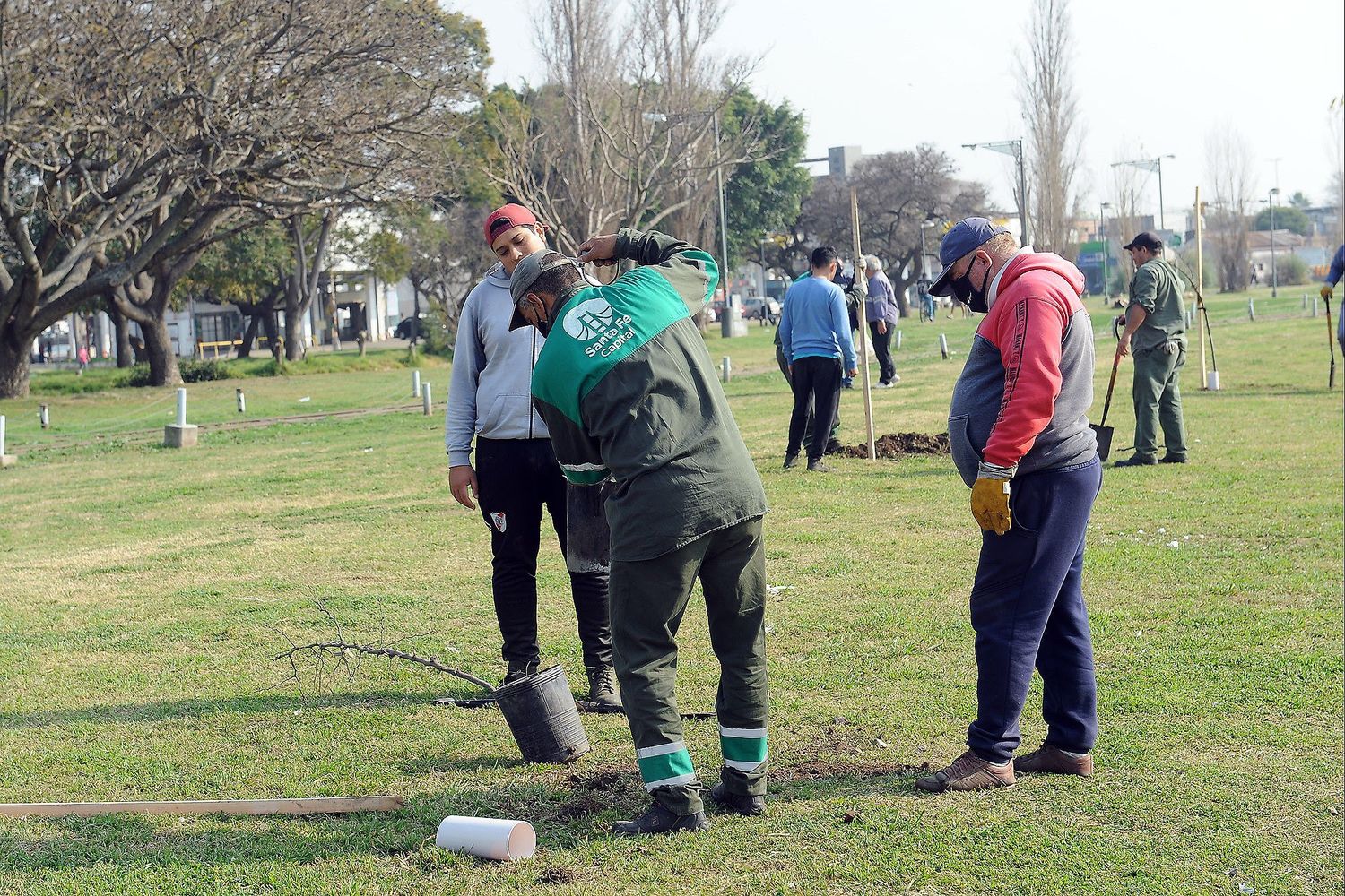 La Municipalidad planta algarrobos en el Parque Federal