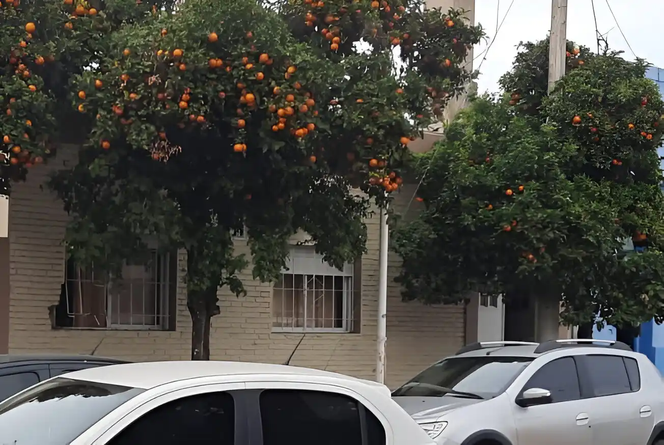 El Instituto Sarmiento, ubicado en Salta, entre Oliveira Cézar y Arnaldo.