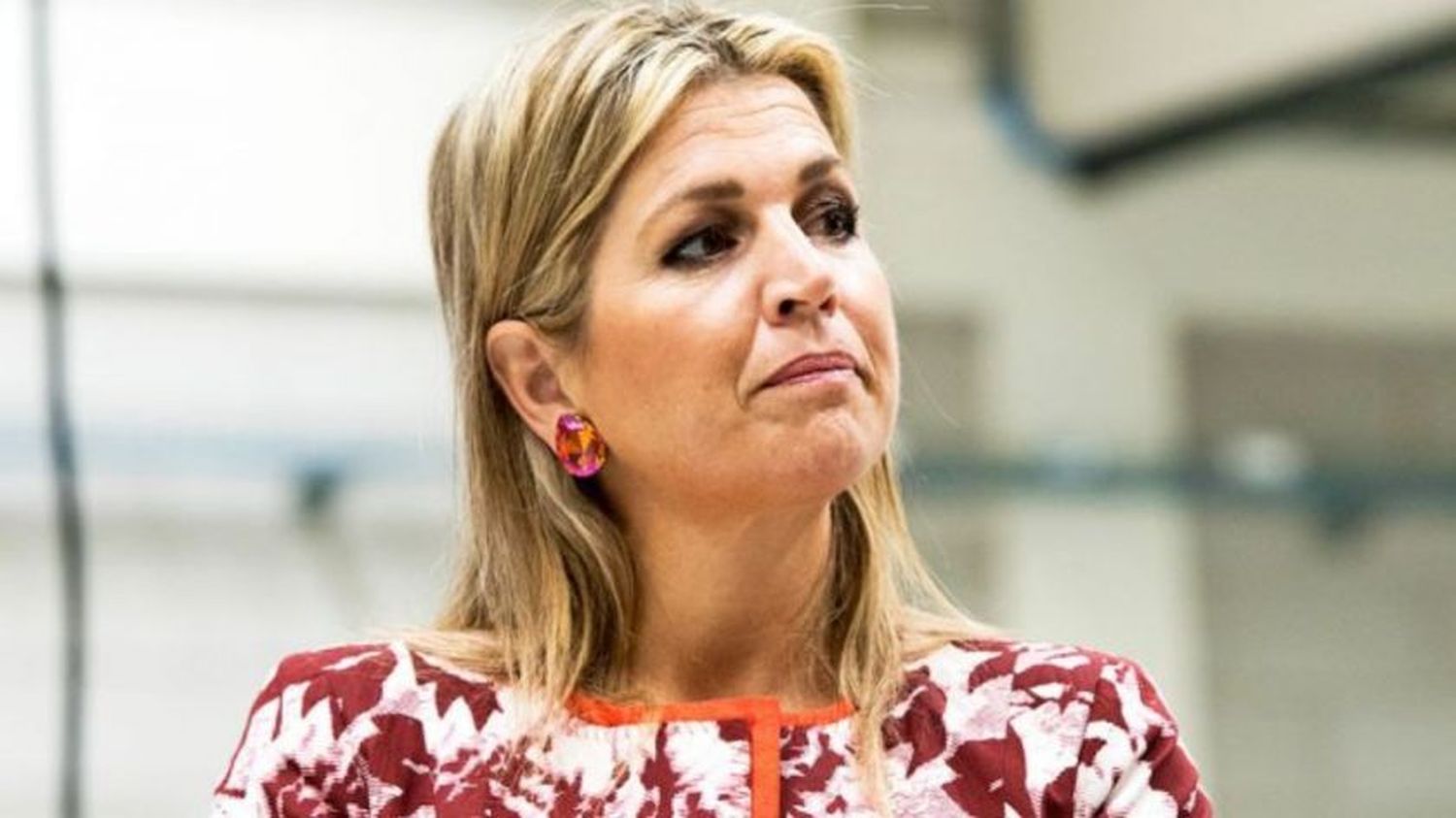 Acusan a la reina de Holanda de evadir impuestos con su hostería