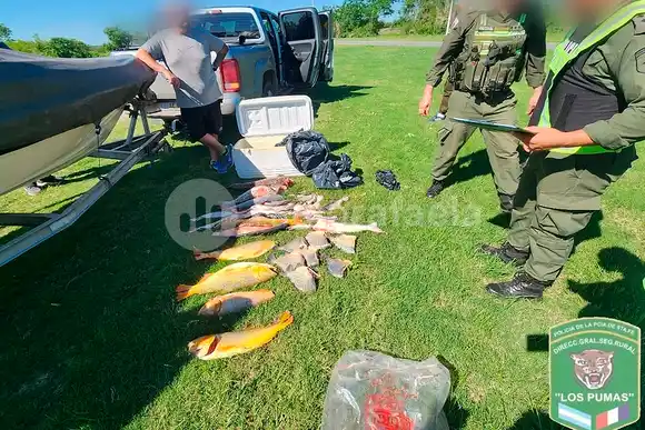 Fuera de temporada, los atraparon con más de 400 surubíes, bogas, sábalos, dorados y palometas