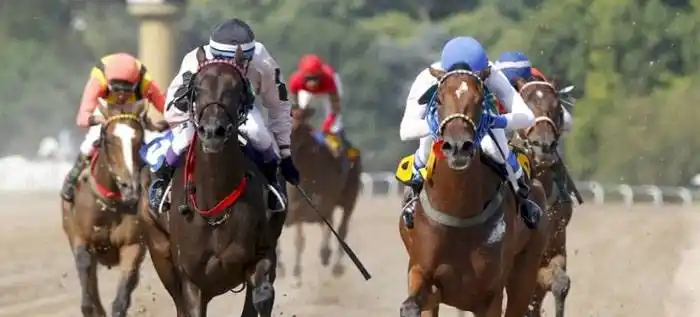 Domingo 11: Actividad Hipódromo de La Plata