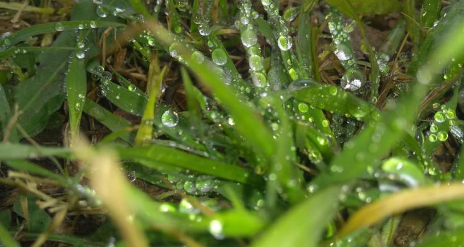 Por la lluvia, se suspendieron actividades deportivas