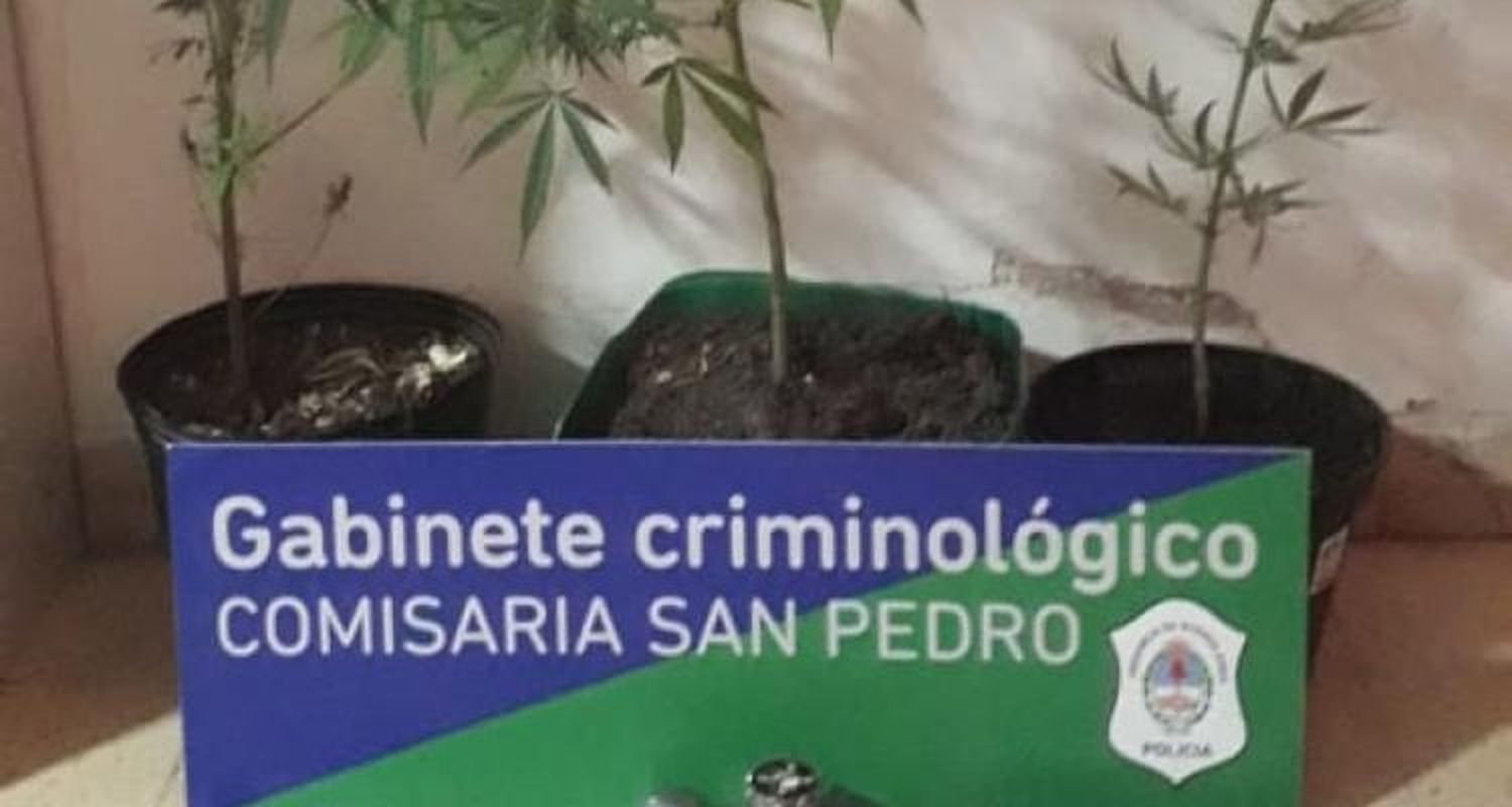 Allanaron una casa y encontraron cocaína y marihuana
