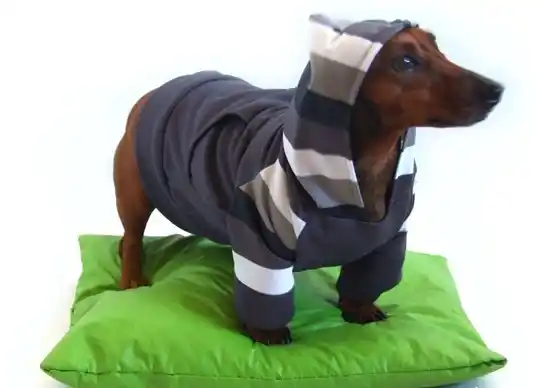 Cinco grados para arrancar un día bien abrigados