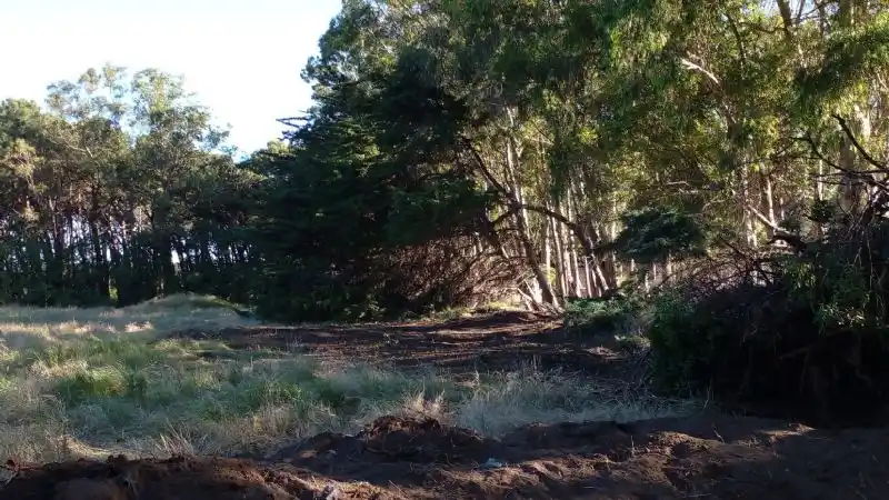 En Necochea denuncian que están deforestando un parque público para construir canchas de tenis y un complejo privado
