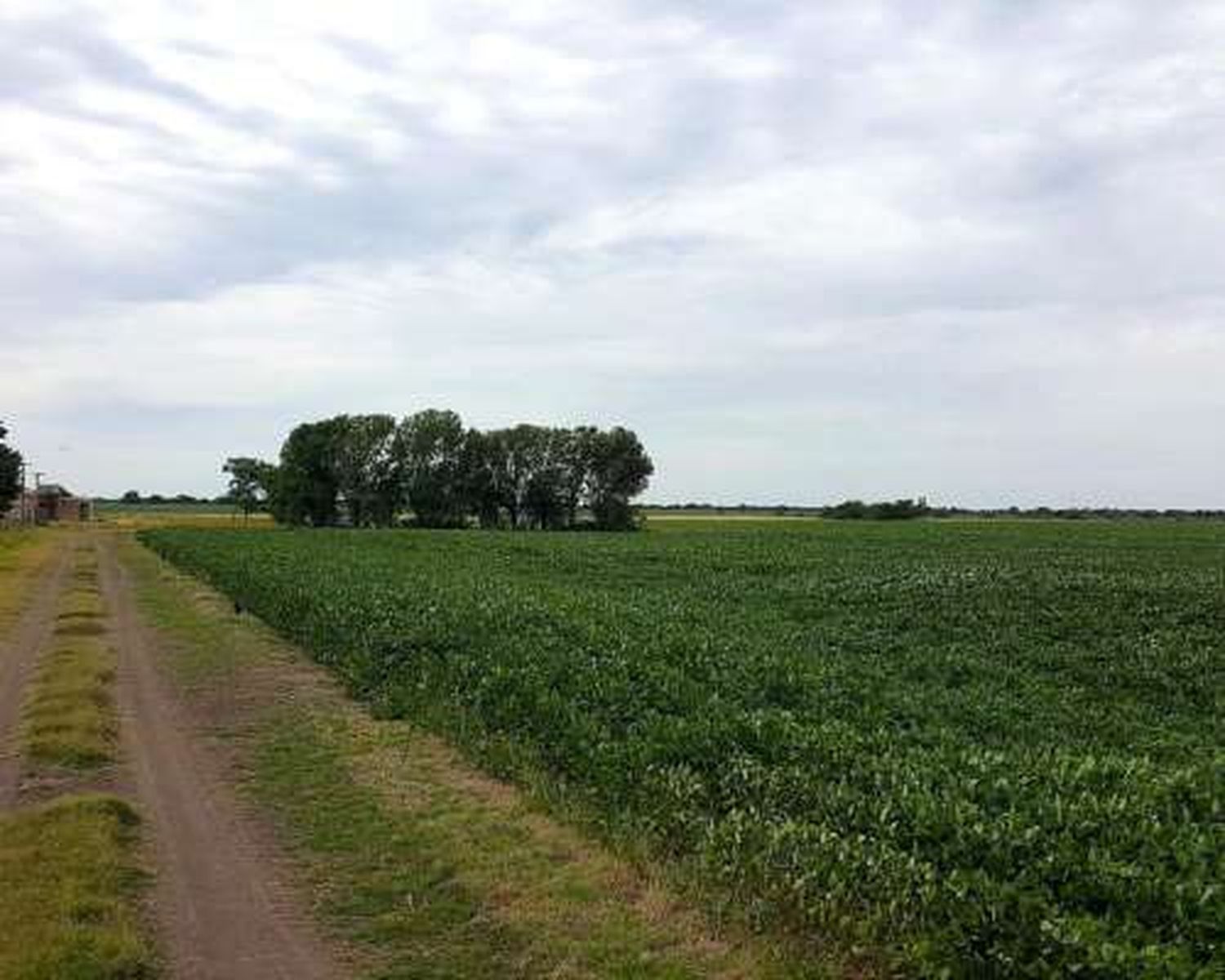 Jornada “A campo abierto” en Ramírez