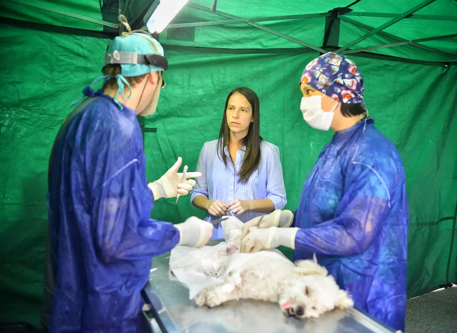 Soledad Martínez estuvo presente en la jornada de castración masiva en Villa Martelli