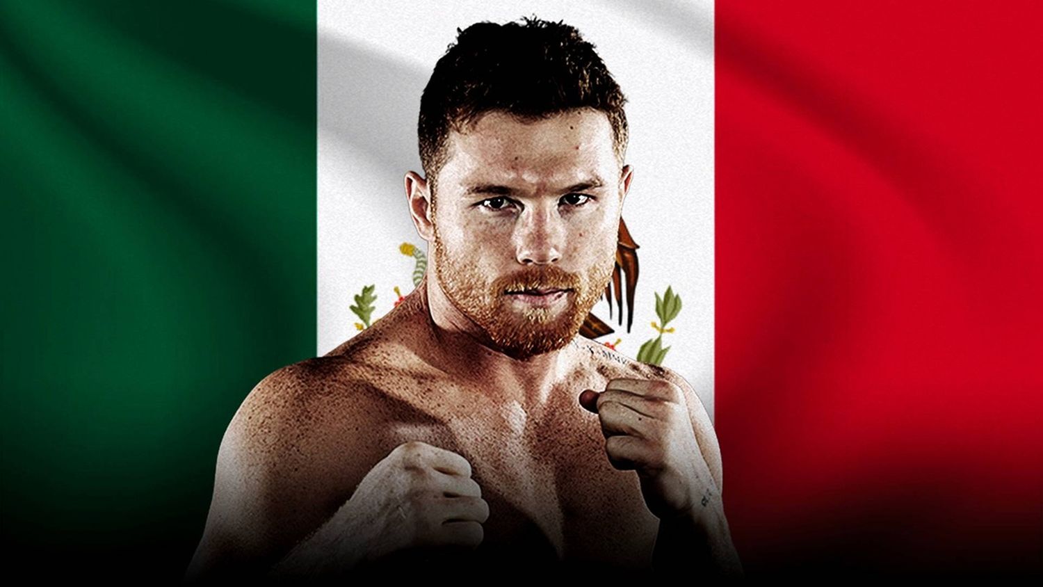 Canelo Álvarez-México - Interna 2