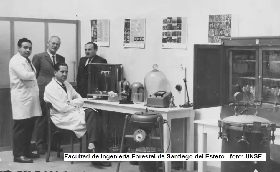 16 de agosto Día del Ingeniero Forestal en Argentina