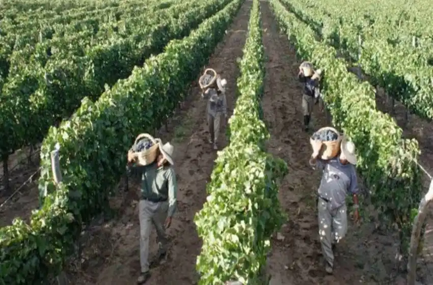 Anulan los sobreseimientos de tres acusados por trata laboral