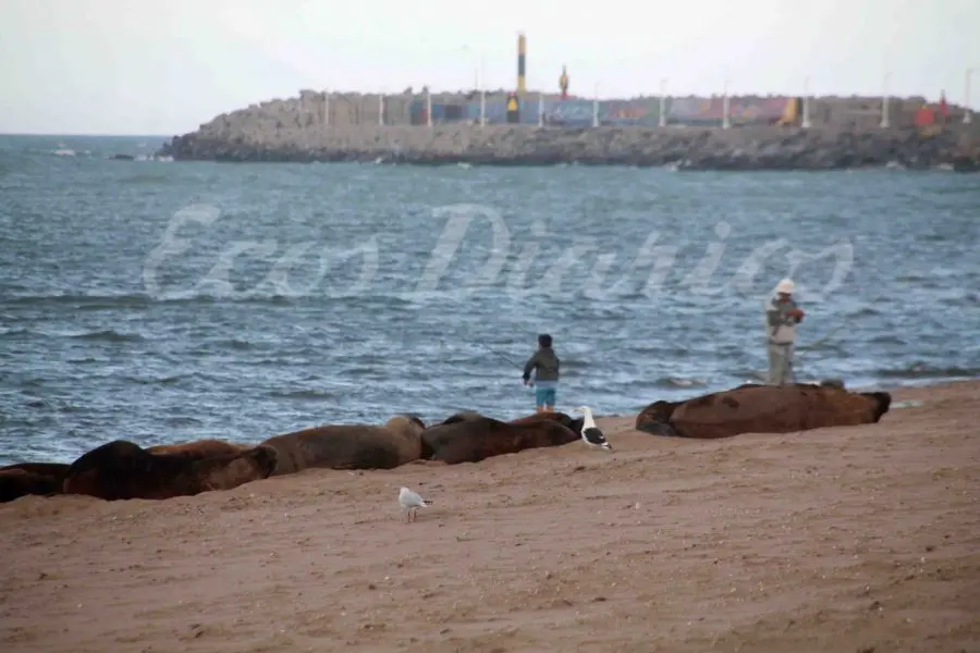 Firmarán convenio de atención con la Universidad de Mar del Plata