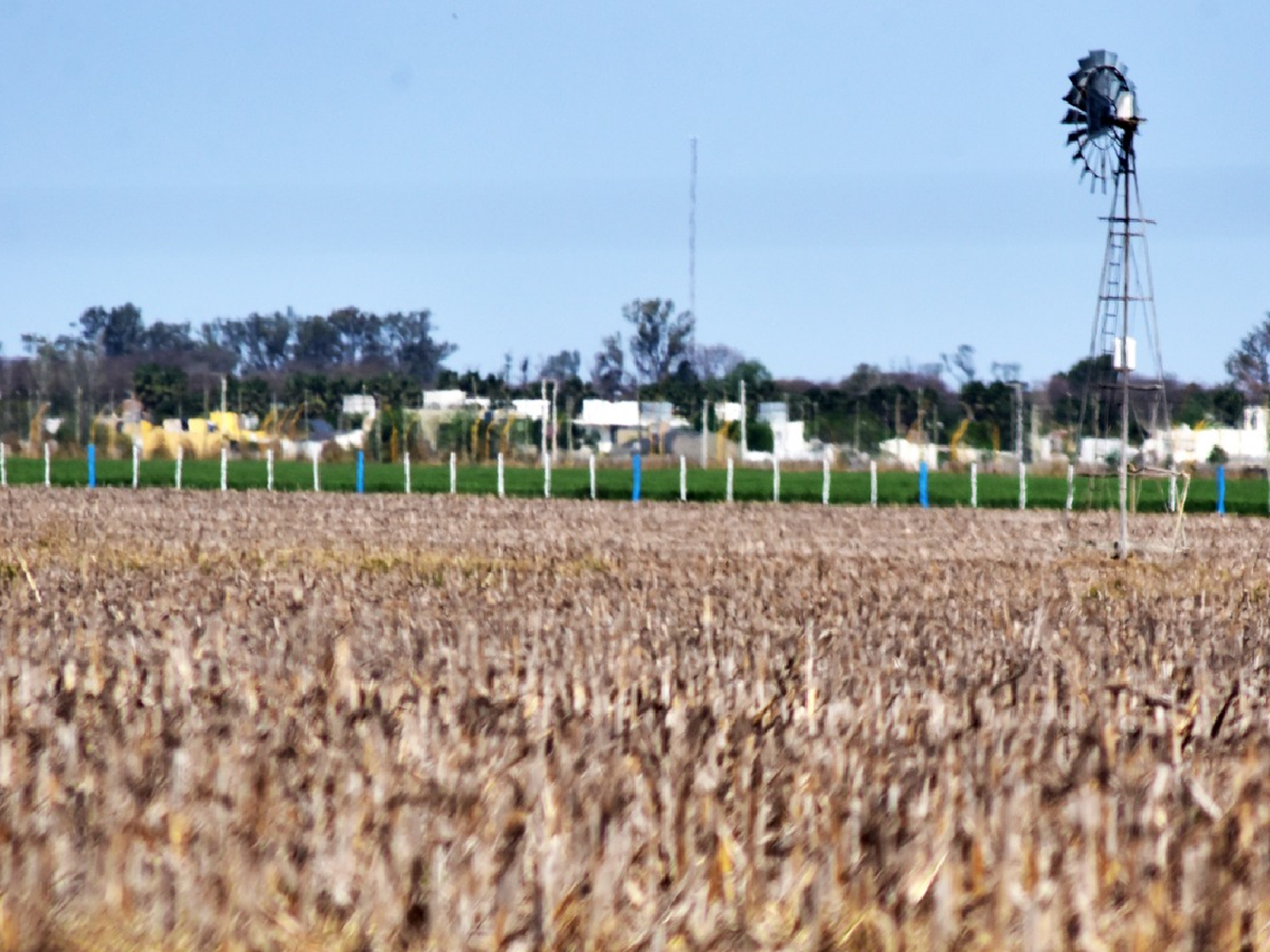 Alquileres agrícolas: San Justo pagó medio quintal menos que el año pasado
