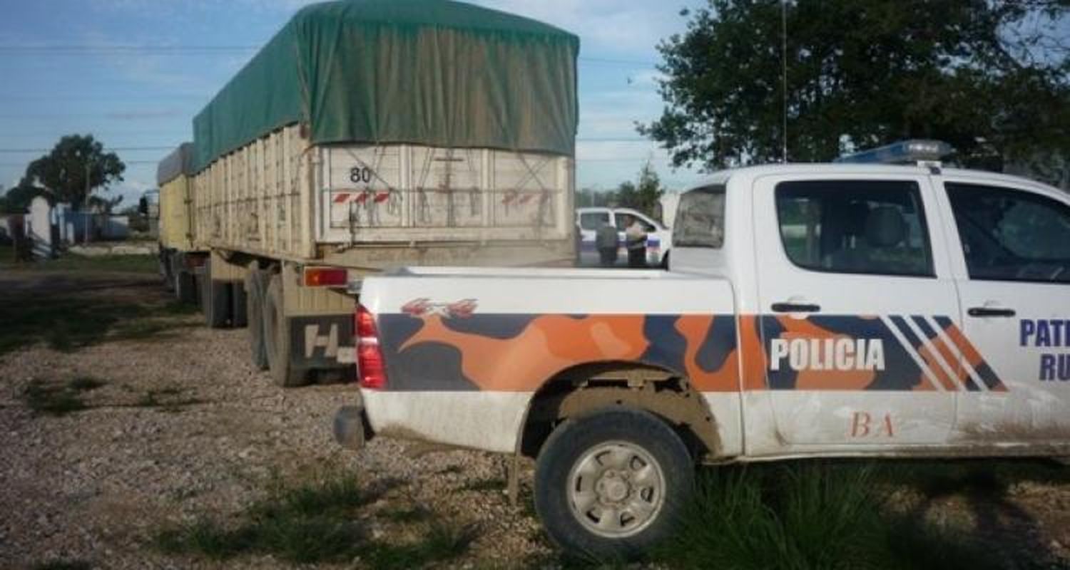 Tablas: Perro evitó que cinco delincuentes asalten a una familia