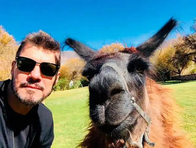 Durísima respuesta de una periodista jujeña a Marcelo Tinelli