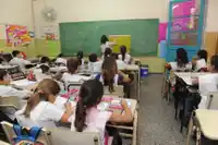 Educación y clase media