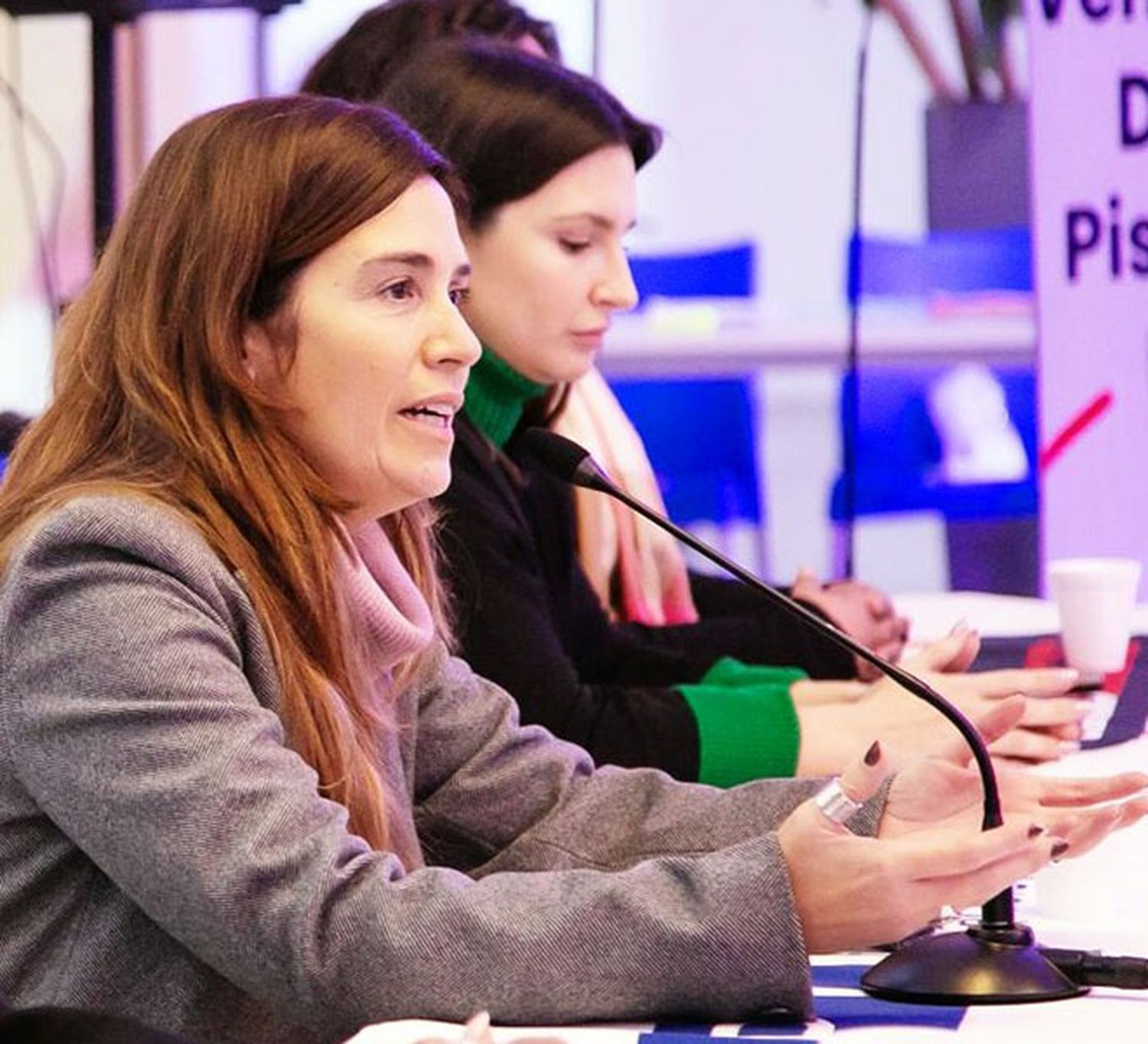 “Si tenemos PASO, le haría bien a los espacios”, dijo Jimena López