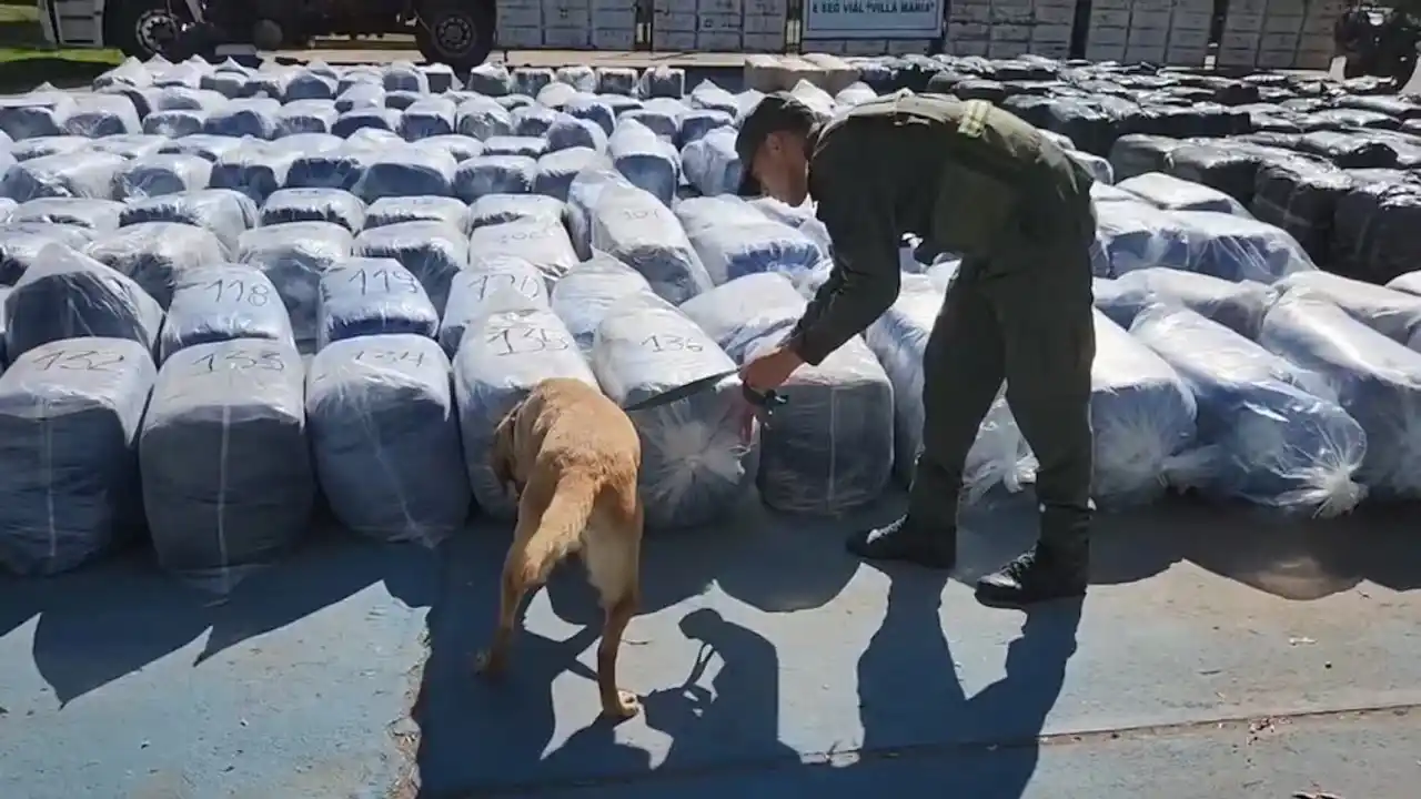 Encontraron 7 mil kilos de coca en un camión. (Foto: Gendarmería)