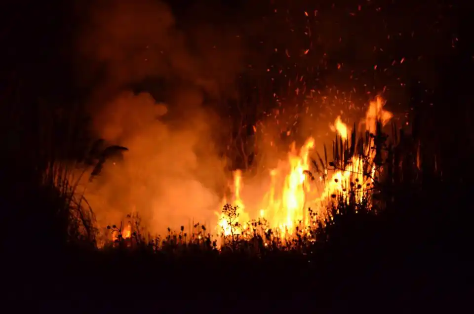 Esteban Echeverría: Incendio en la Laguna de Rocha