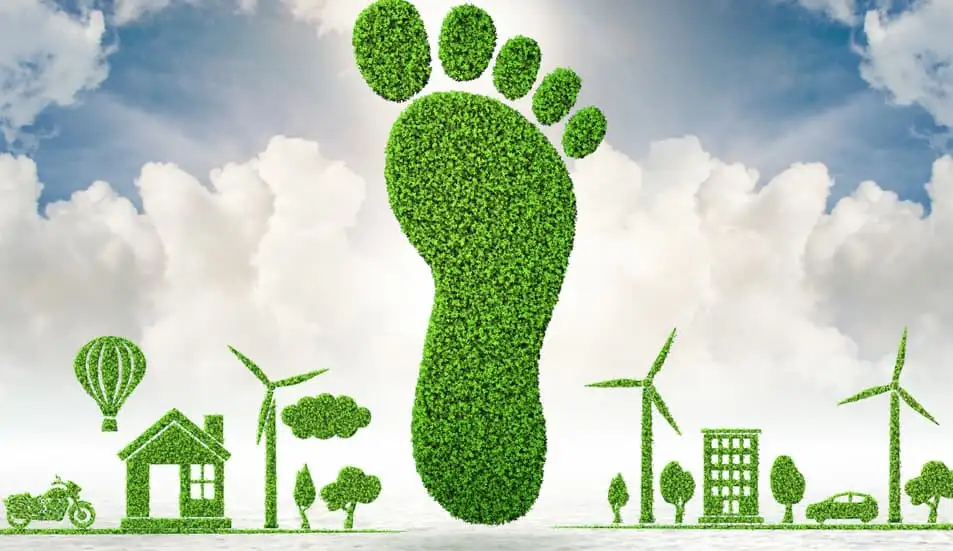 La huella de carbono en el contexto del consumo y la política