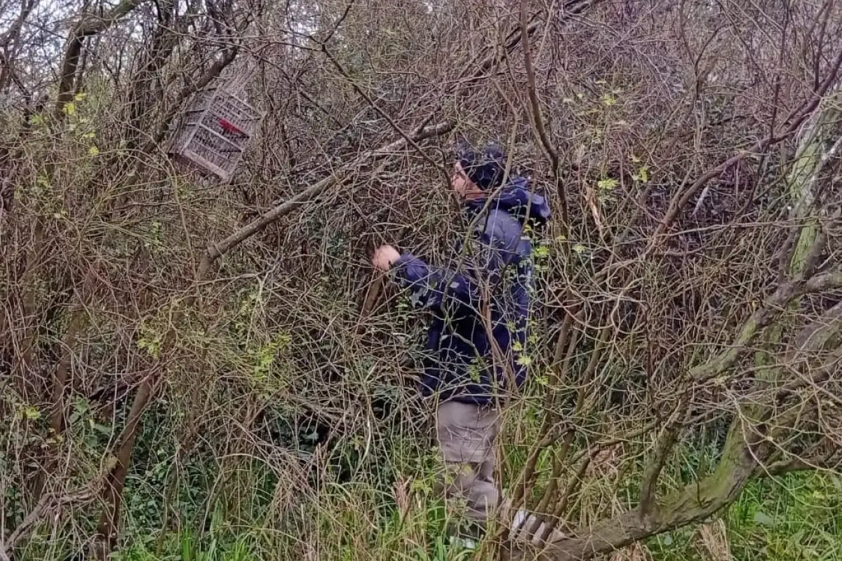 Retiraron una jaula trampa para capturar pájaros de forma ilegal dentro de una reserva natural en el Parque Unzué