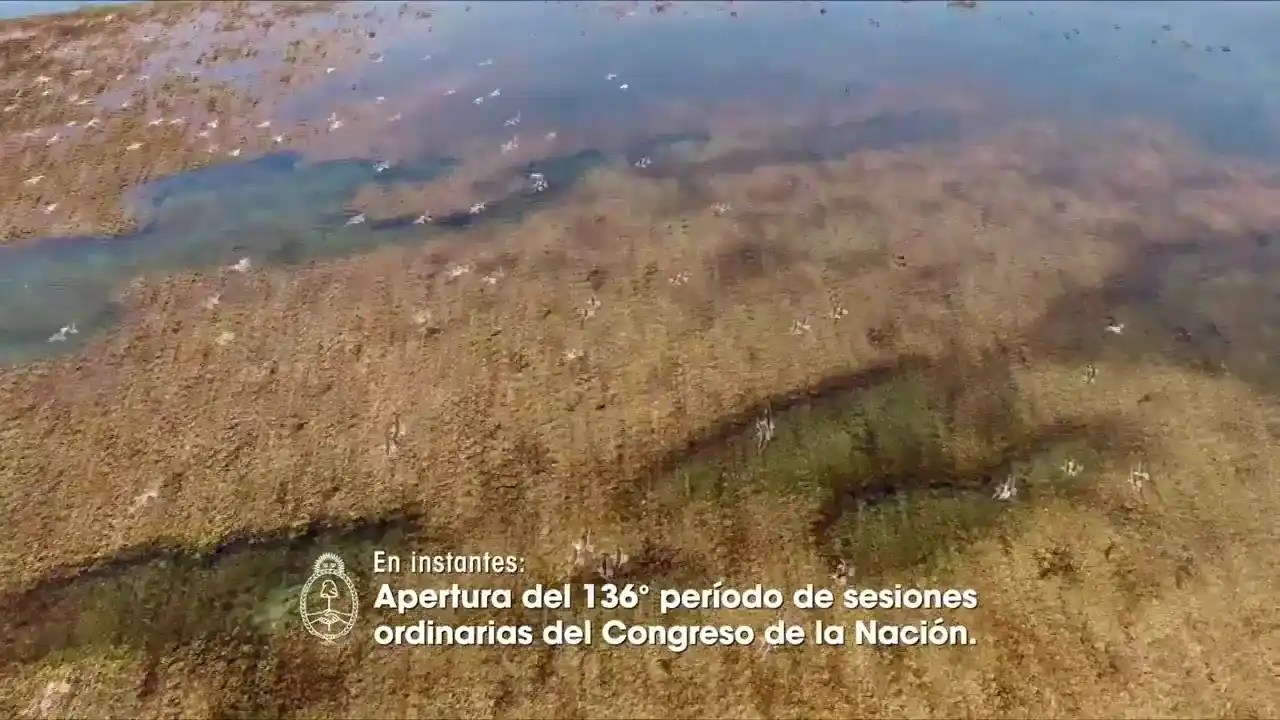 Macri lleva al Congreso un mensaje de tono conciliador