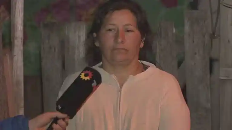 La tía del nene de cinco años volvió a dar testimonio ante la jueza federal Cristina Pozzer Penzo.