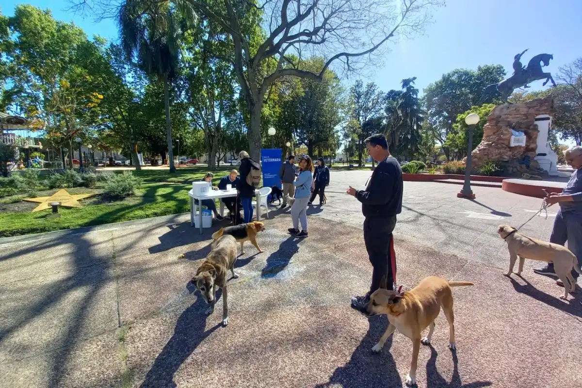 Más de 60 mascotas fueron vacunadas y medicadas