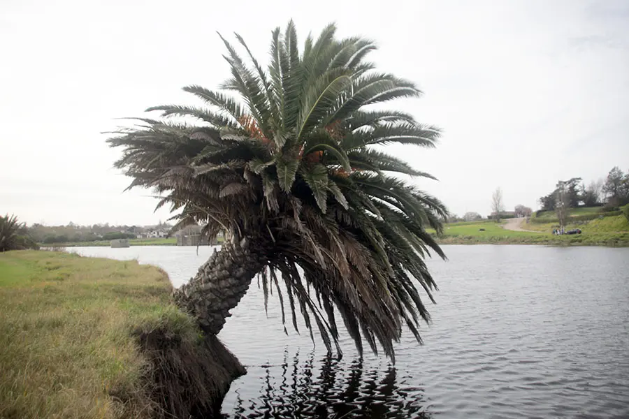 Afirman que la erosión en la ribera del río no se detendrá