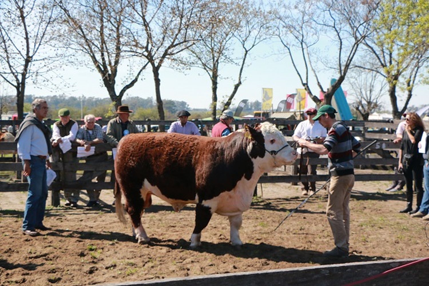 Hoy abre la rural con una amplia y variada gama de actividades