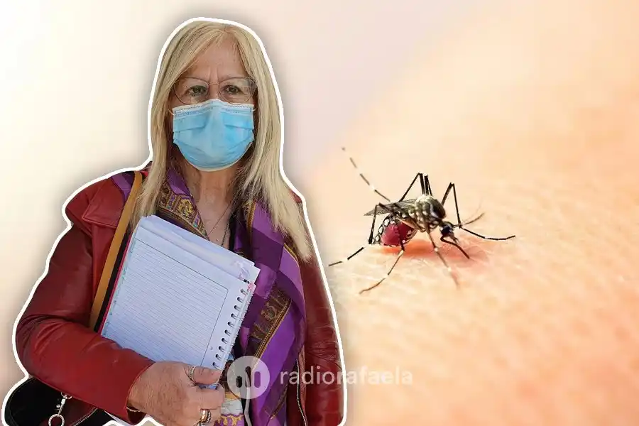 Se detectó el primer caso de dengue en Rafaela: “Tenemos que ser cuidadosos en los hogares con la limpieza del patio”