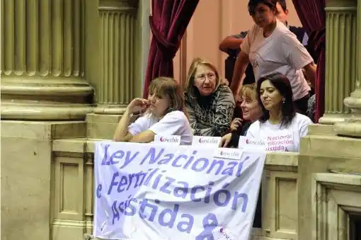 Diputados convirtió en ley el proyecto sobre fertilización asistida