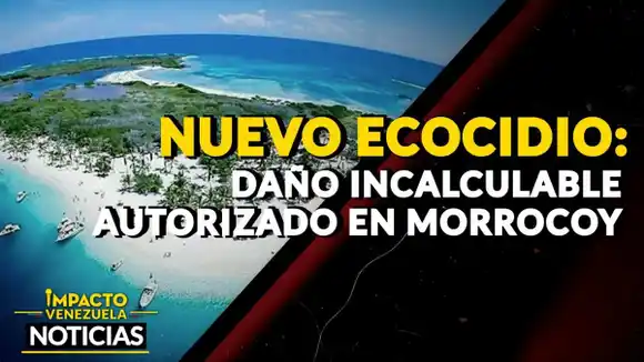 NUEVO ECOCIDIO ¿Daño incalculable autorizado en Morrocoy? – VIDEO
