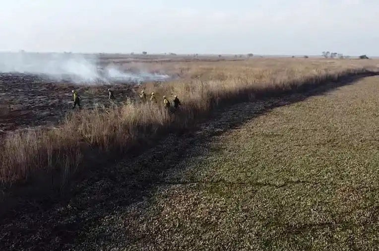 Incendios en el Delta: trabajan en focos en islas Lechiguanas